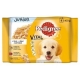 Pedigree 100gx 4ks kapsička junior smíšený výběr v želé dog 