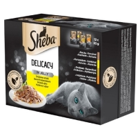 Sheba Delicacy  12 x 85g kapsička drůbeží výběr v želé cat