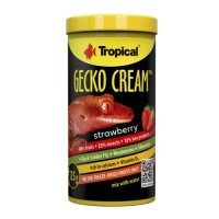 Tropical Gecko Cream Strawberry  250ml/125g